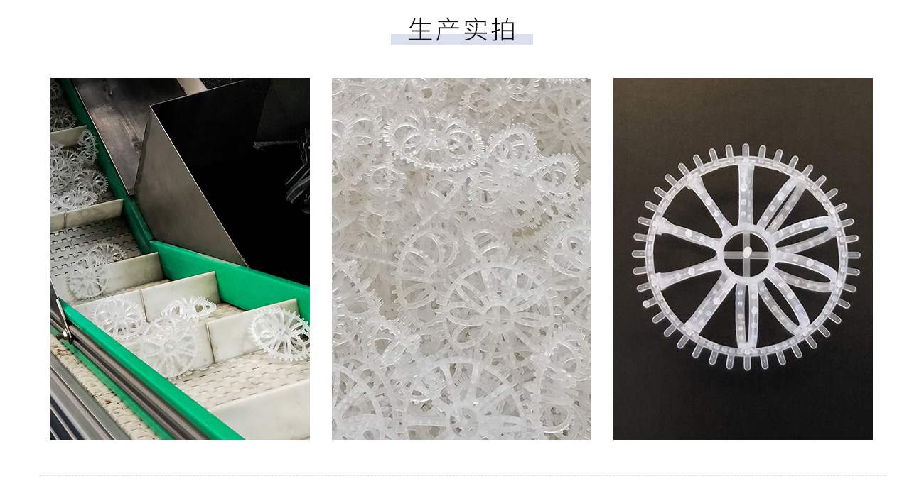 帶刺花環1300_05.jpg