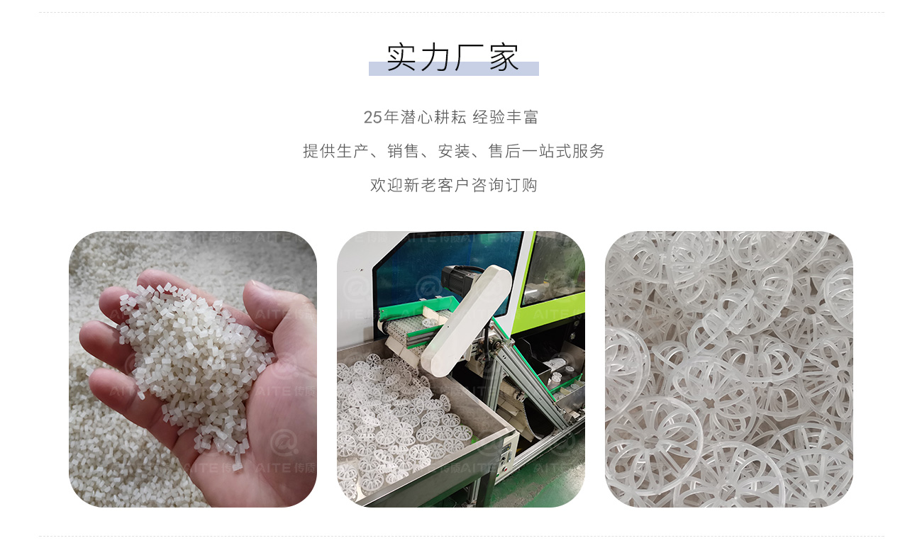 塑料泰勒花環.png